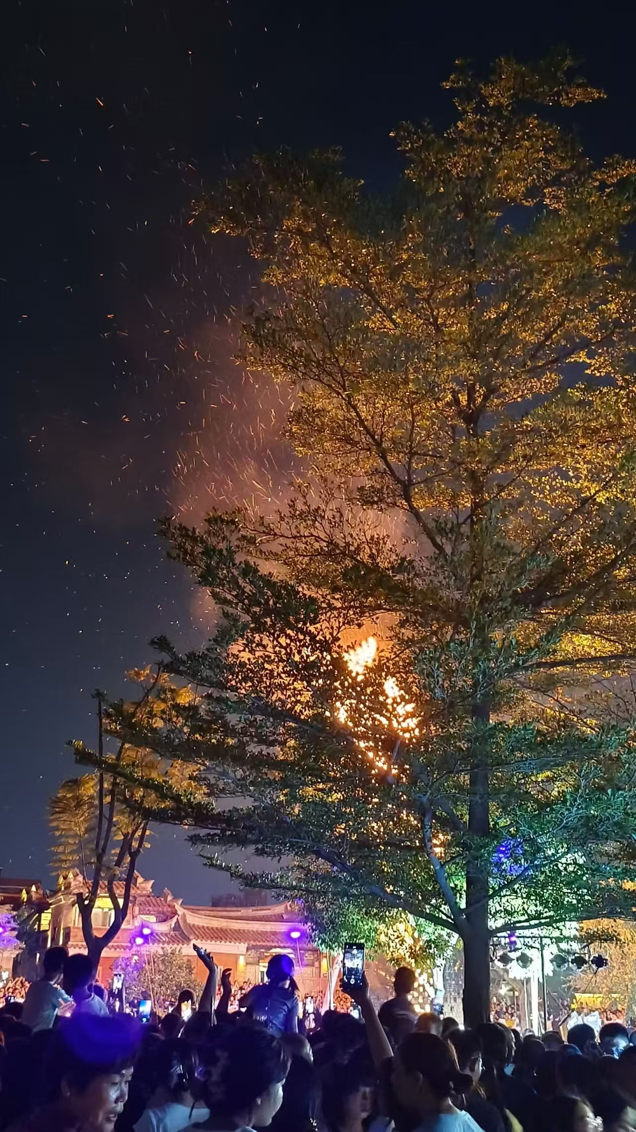 图片12.png 图片12.png