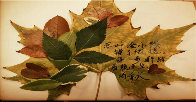 开展“秋色拼贴诗集”创意实践活动 (1).png