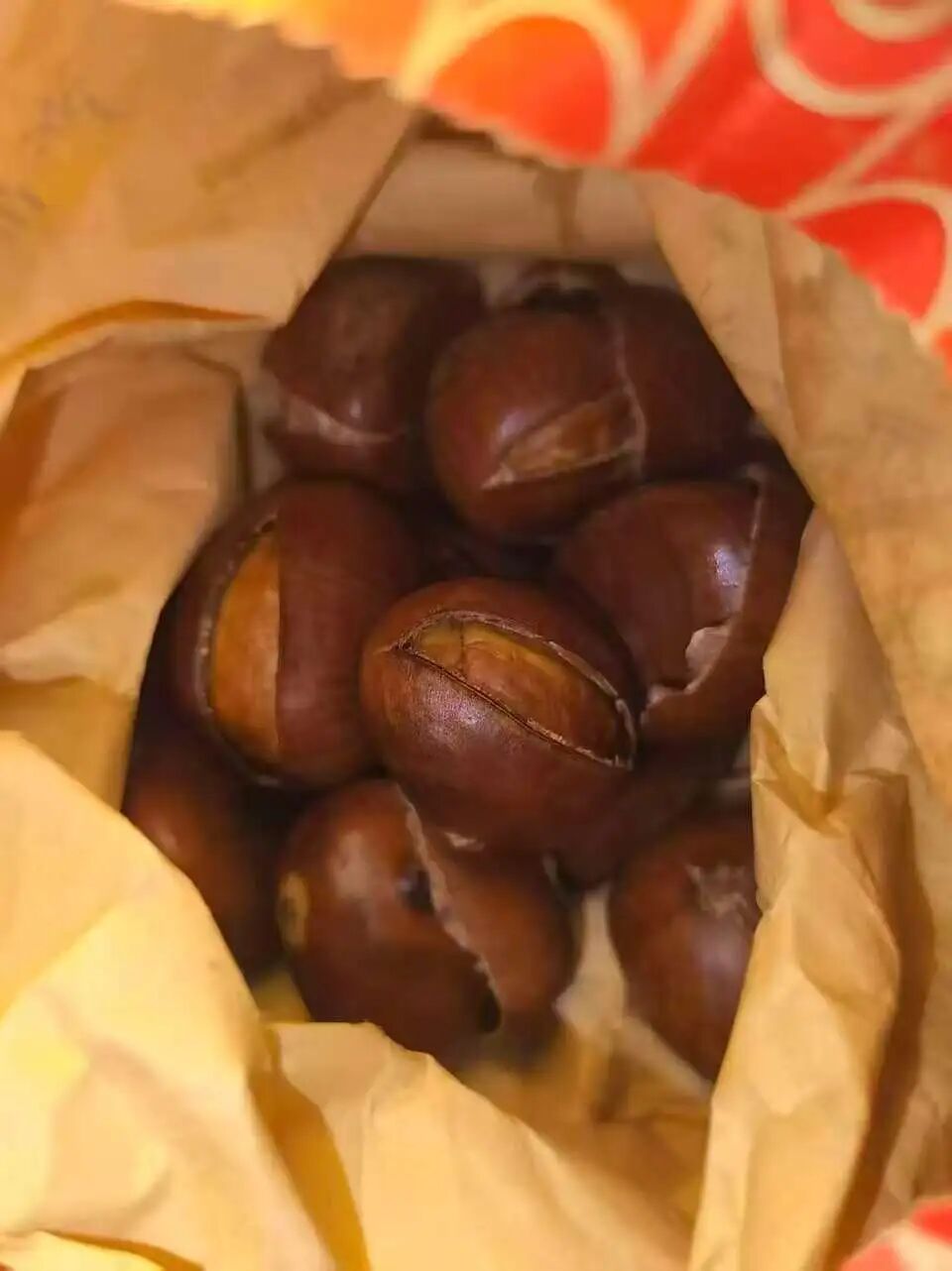 微信图片_20251024212629_264_75.jpg 微信图片_20251024212629_264_75.jpg