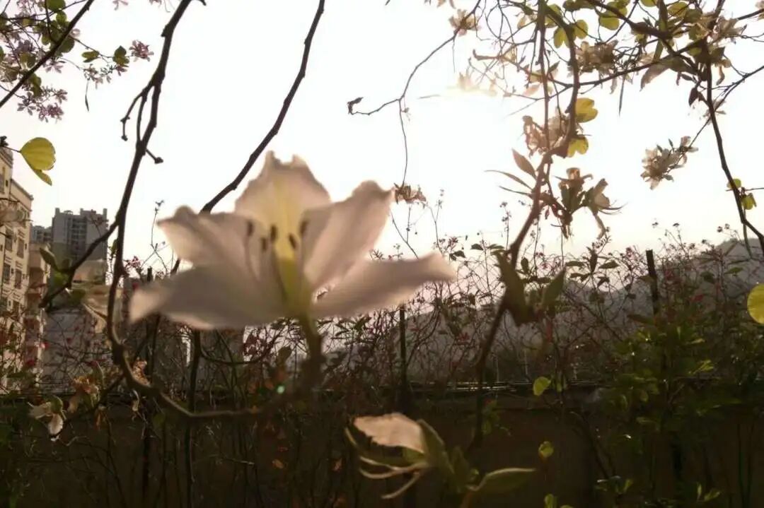 微信图片_20251024212629_266_75.jpg 微信图片_20251024212629_266_75.jpg