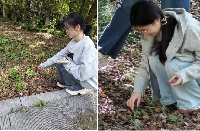 截屏2025-10-24 16.08.22.png