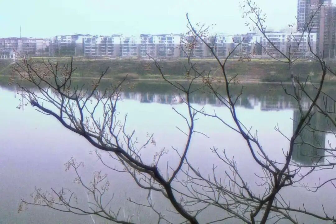 微信图片_20251024212629_262_75.jpg 微信图片_20251024212629_262_75.jpg