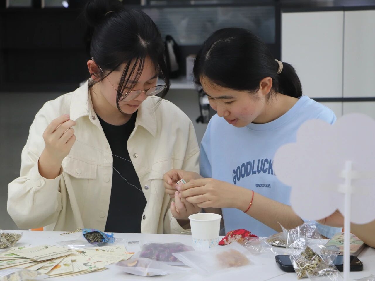 微信图片_2025-10-27_102522_782.jpg 微信图片_2025-10-27_102522_782.jpg