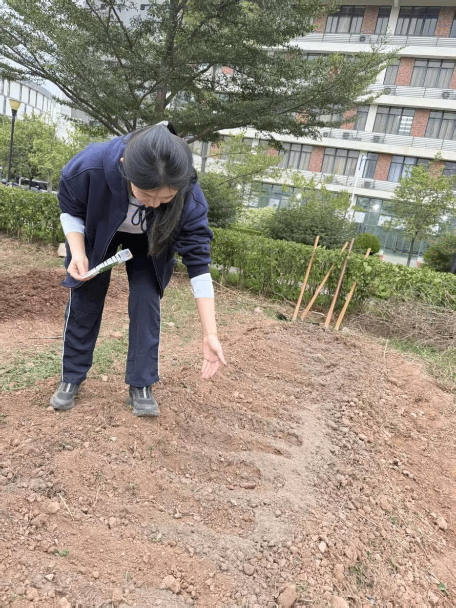 virtual_attach_file (29).png