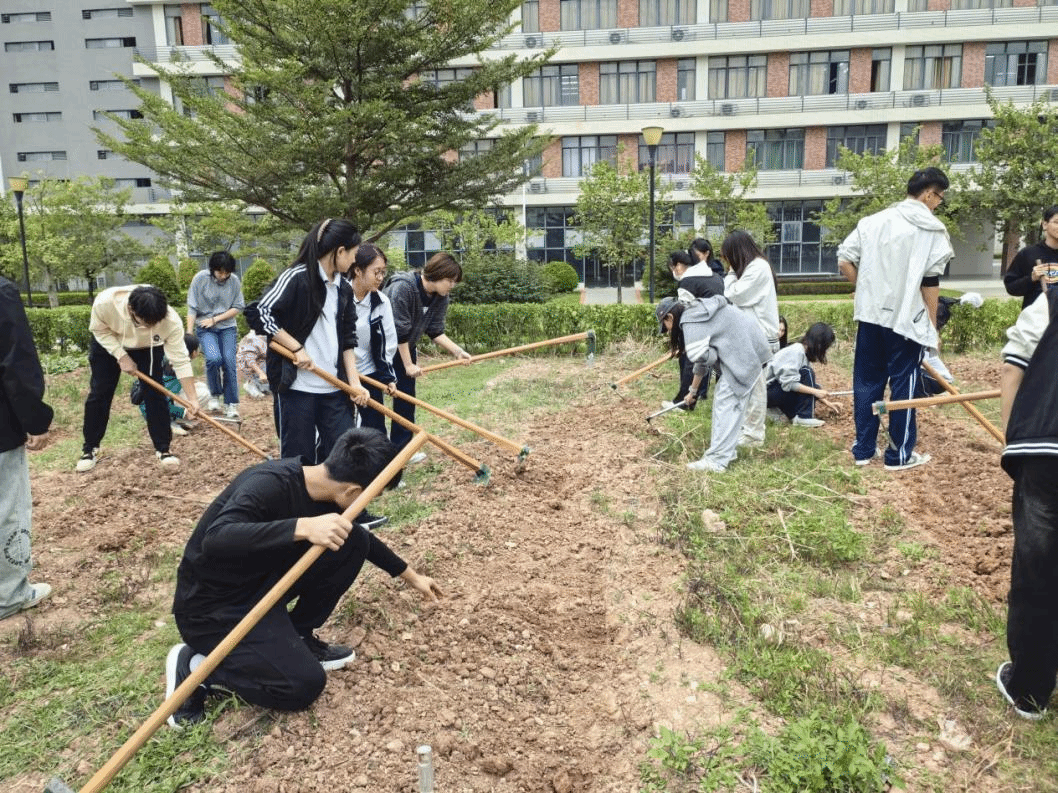 virtual_attach_file (27).png