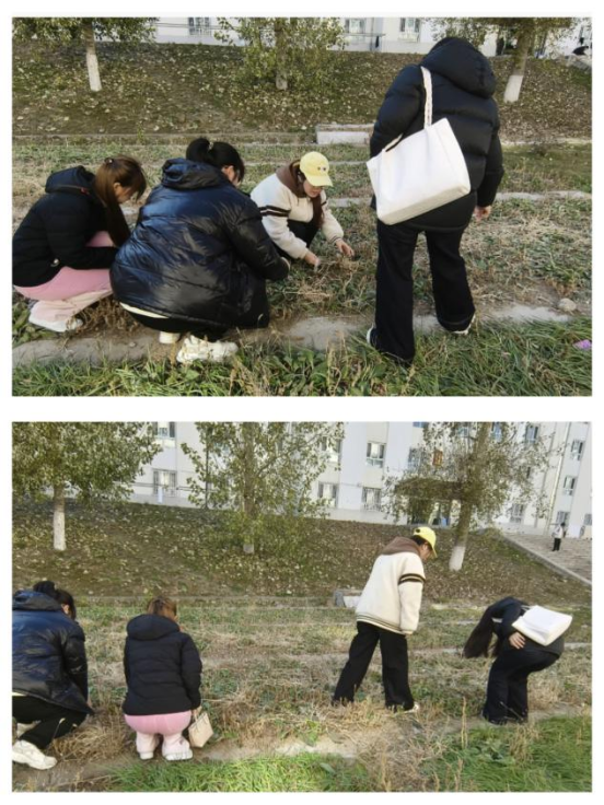 微信图片_2025-10-27_095925_512.png 微信图片_2025-10-27_095925_512.png