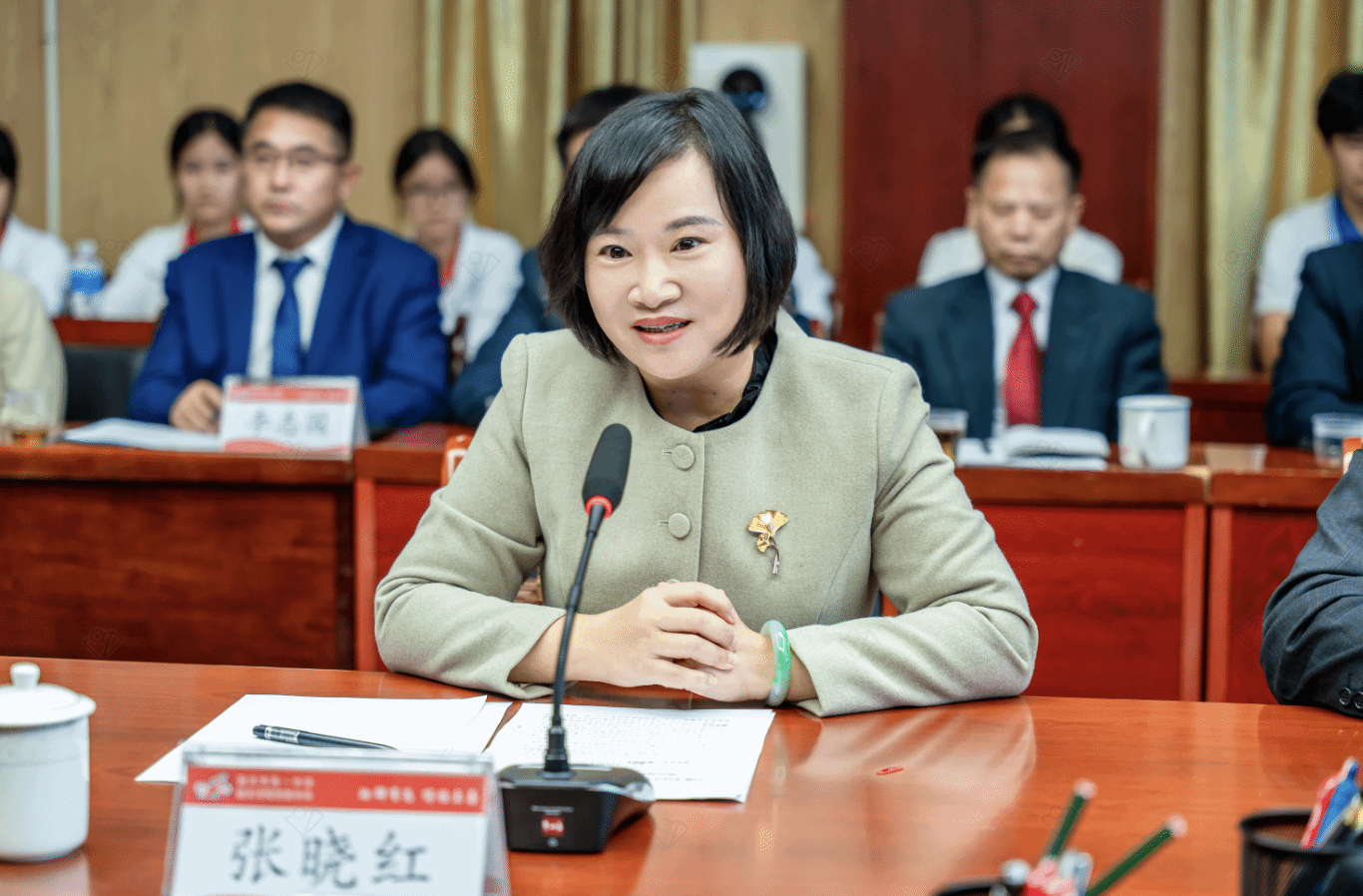 张晓红讲话.png 张晓红讲话.png