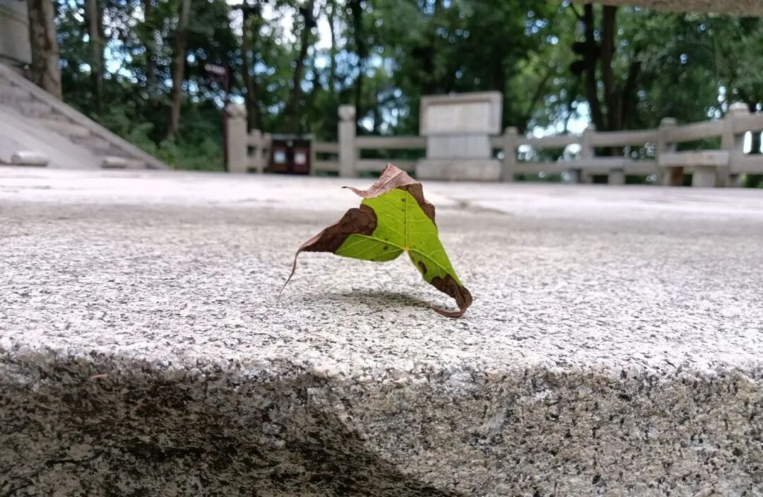 微信图片_20251031170218.jpg 微信图片_20251031170218.jpg