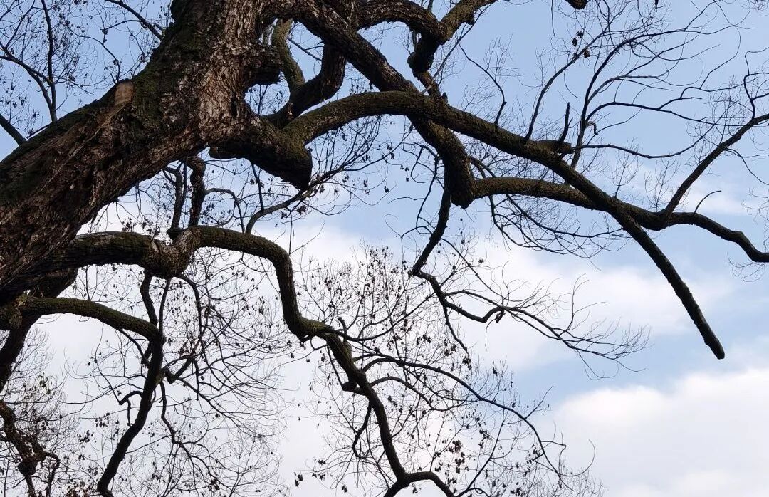 微信图片_20251031165619.jpg 微信图片_20251031165619.jpg