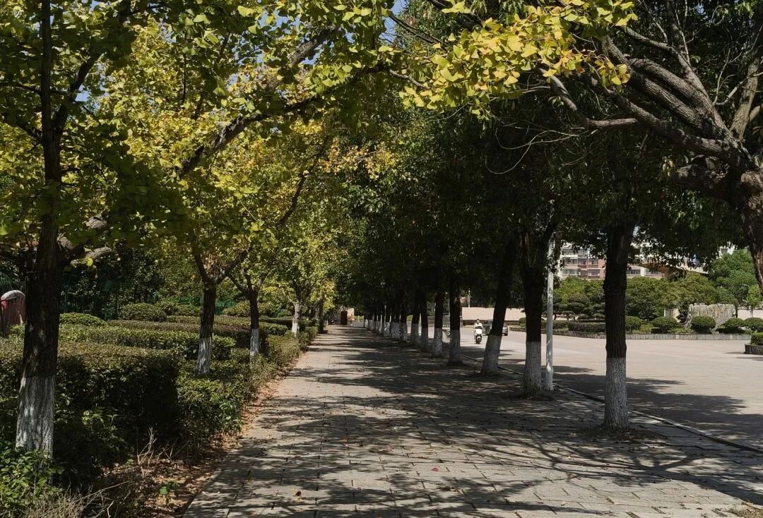 640 (3).jpg 640 (3).jpg