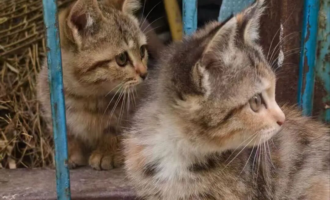 微信图片_20251031171258.jpg 微信图片_20251031171258.jpg