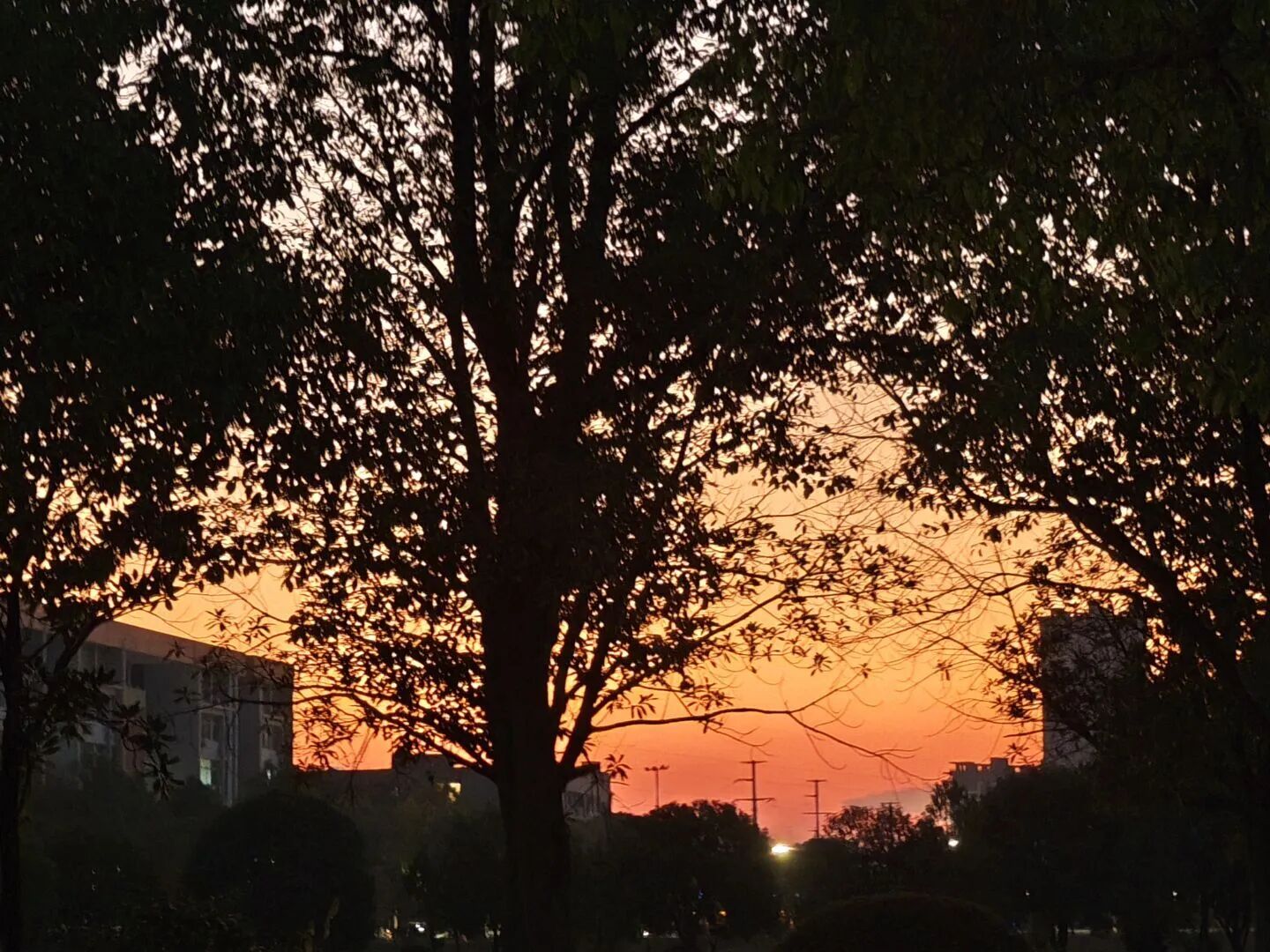 微信图片_20251031170415.jpg 微信图片_20251031170415.jpg