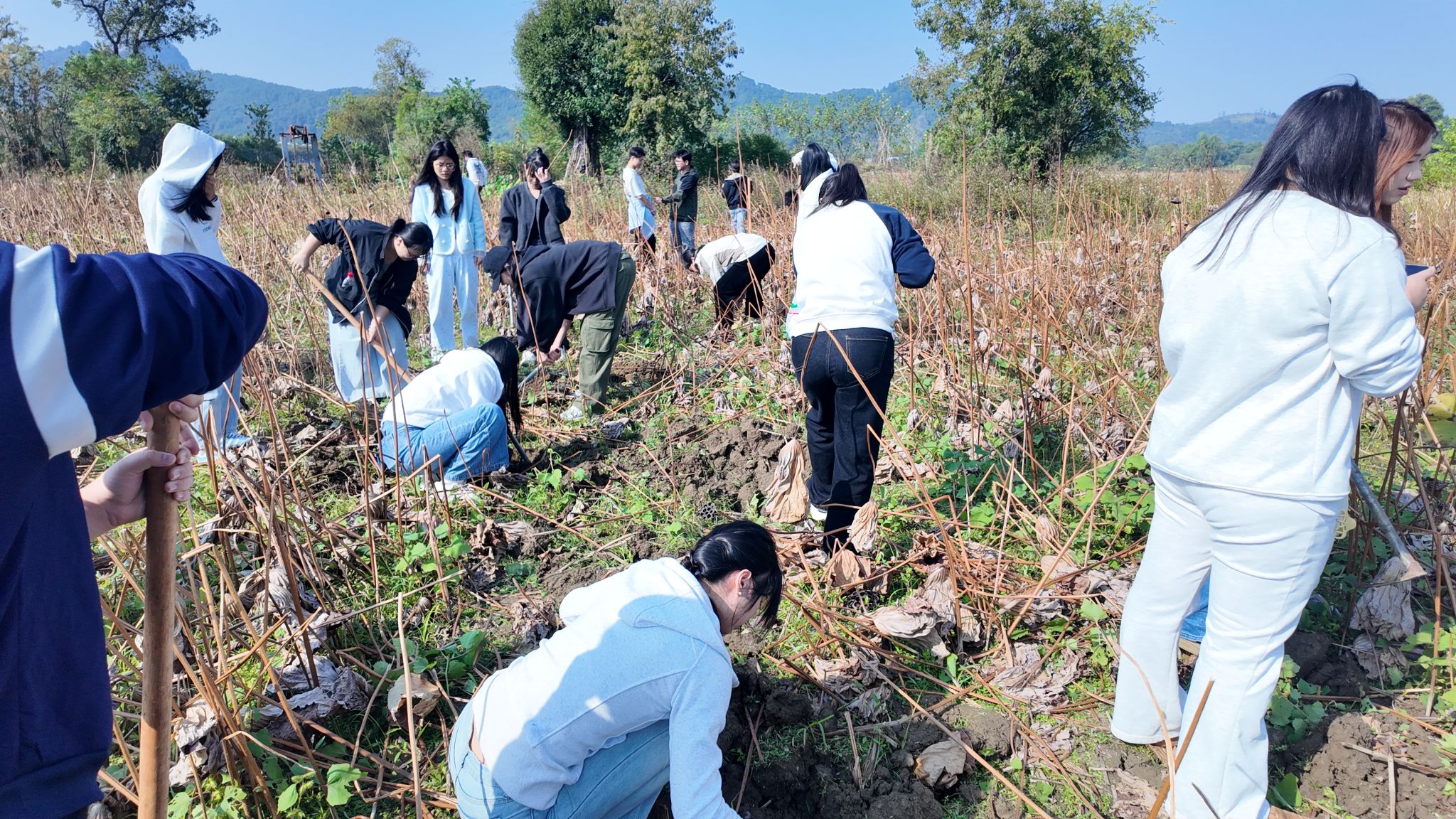 12345678.jpg 12345678.jpg