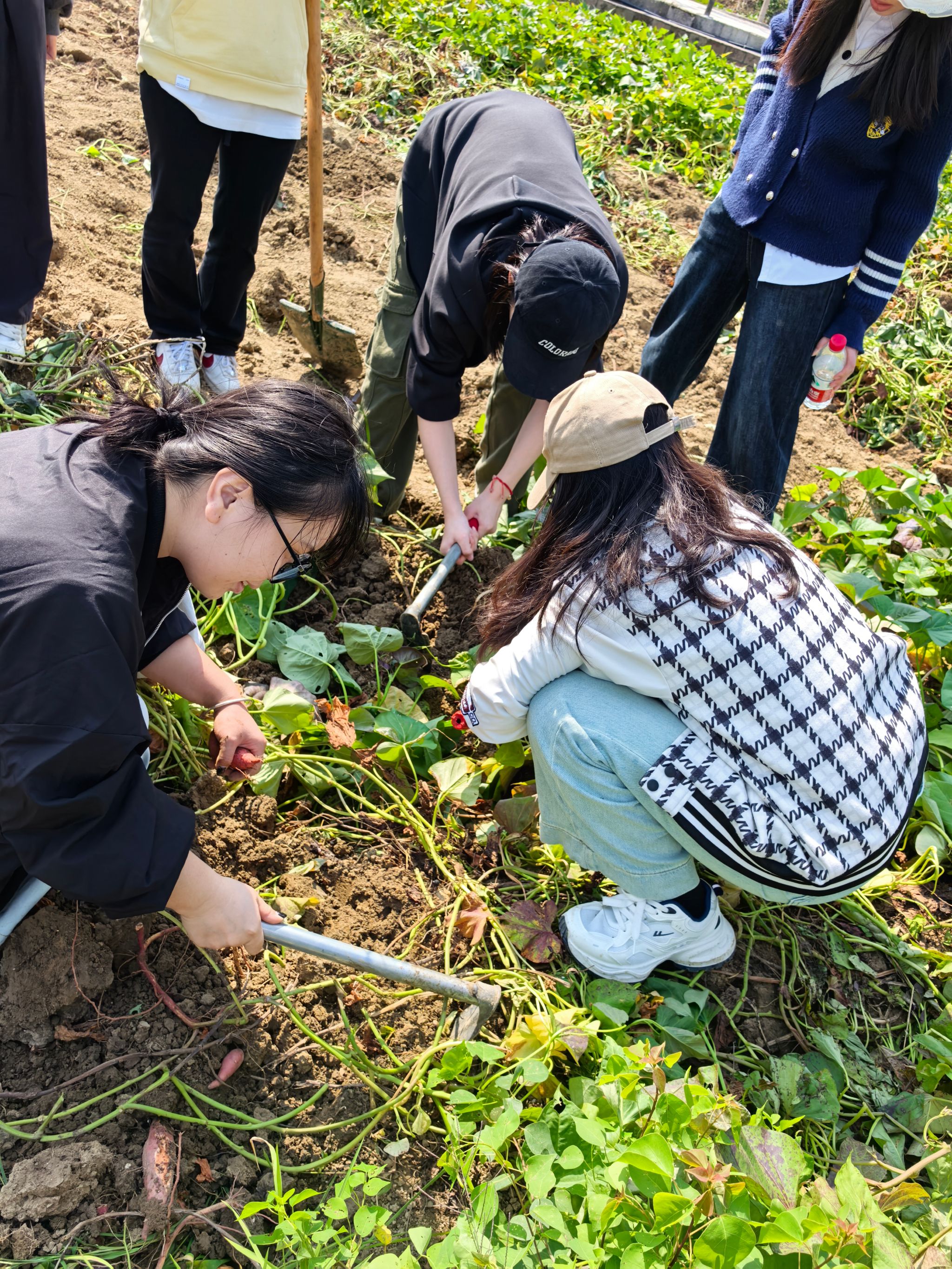 123456789.jpg 123456789.jpg