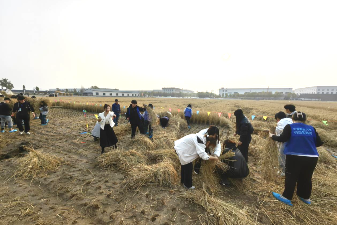 微信图片_20251112125343.png 微信图片_20251112125343.png