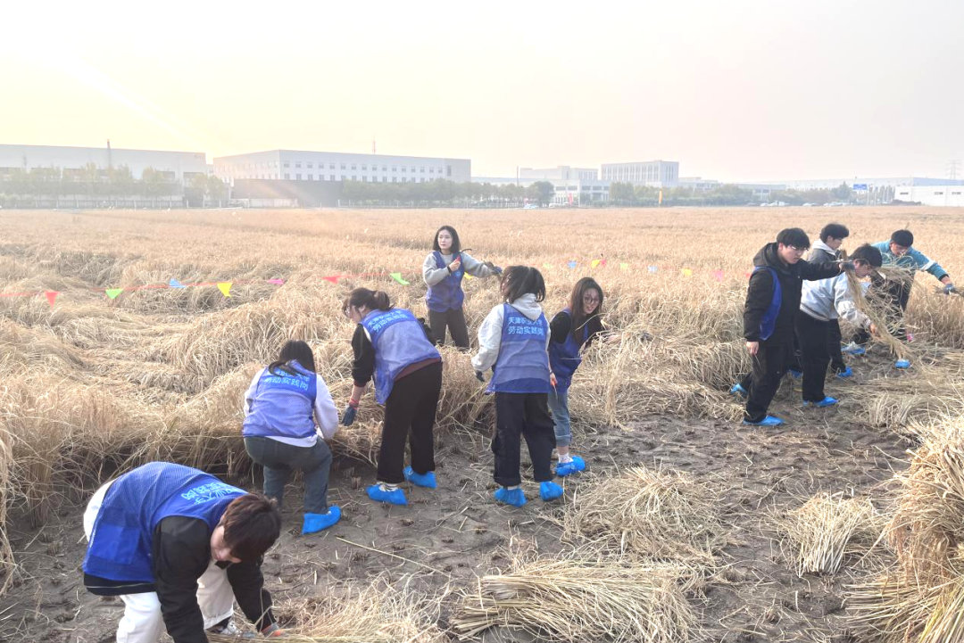 微信图片_20251112125336.png 微信图片_20251112125336.png