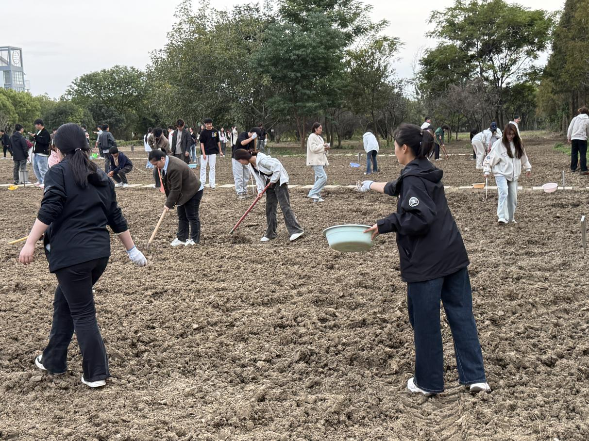 图片2.png 图片2.png