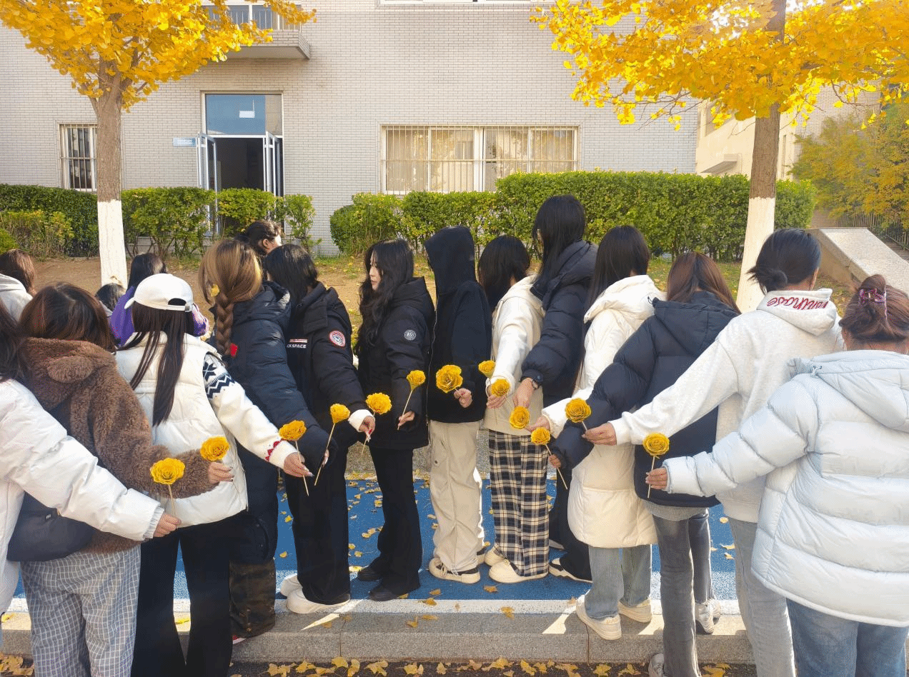 艺术11.png 艺术11.png