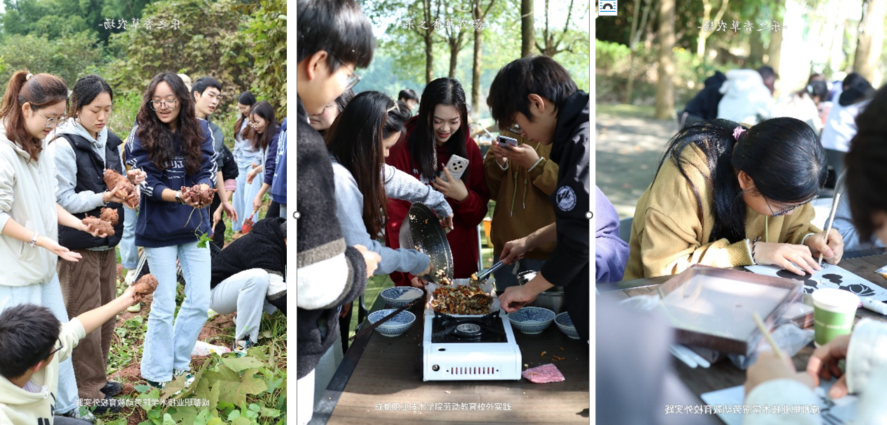 图片3.png 图片3.png