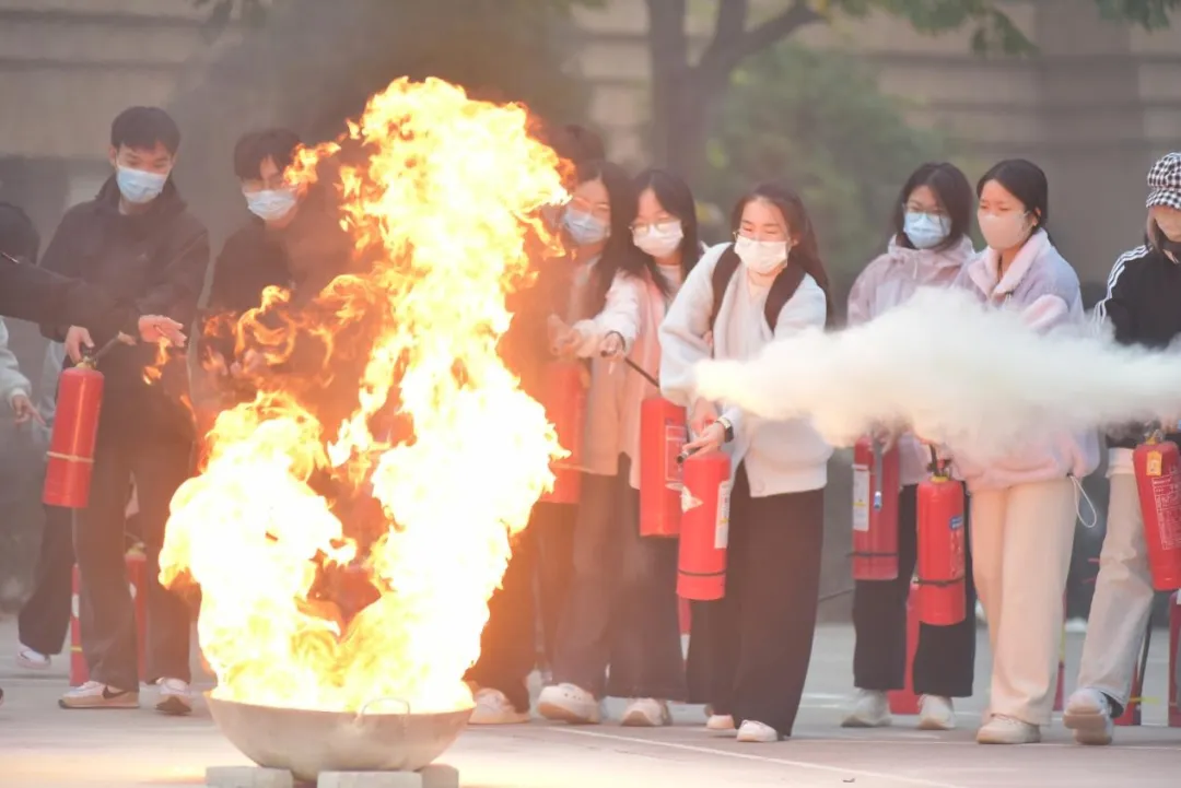 图片13.png 图片13.png