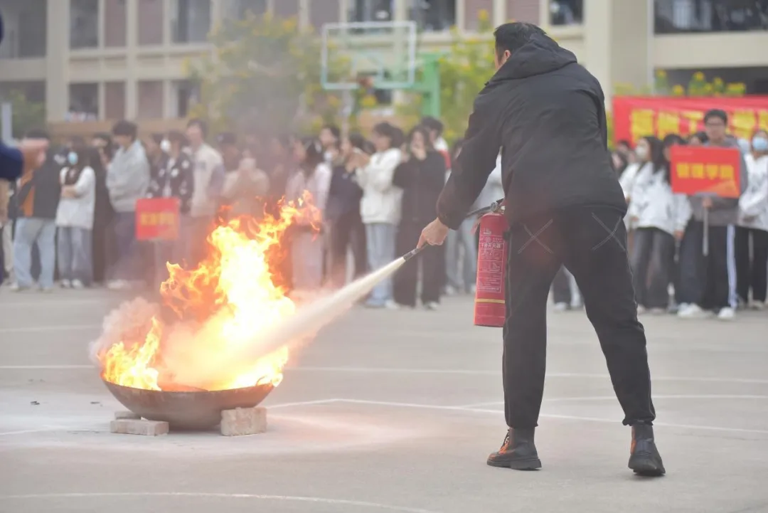 图片11.png 图片11.png