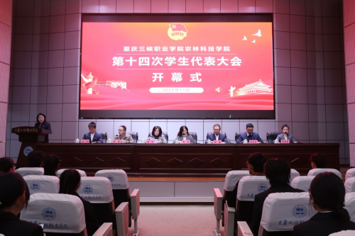 新建 DOCX 文档202.png