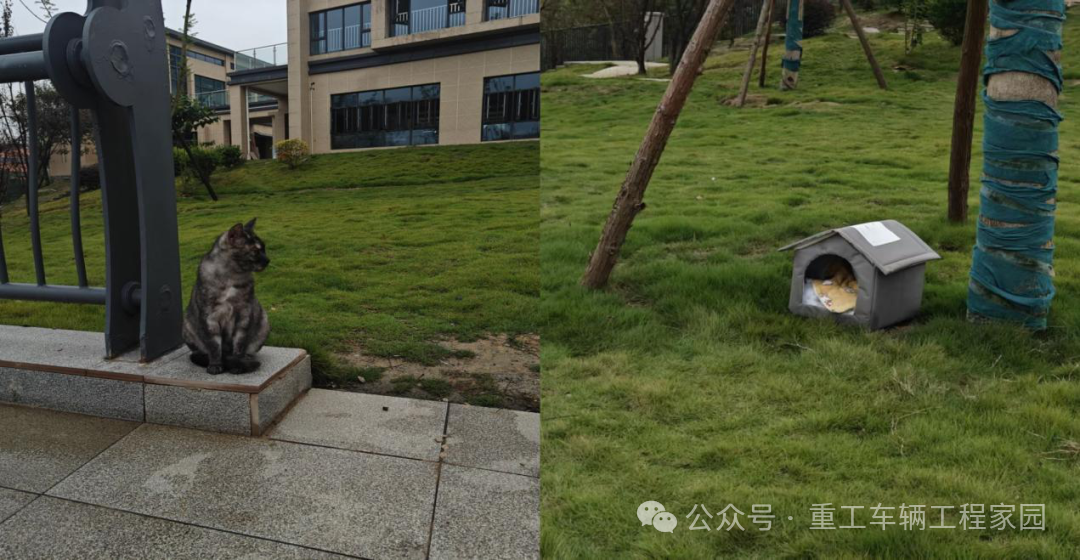 微信图片_2025-11-27_190228_195.png 微信图片_2025-11-27_190228_195.png