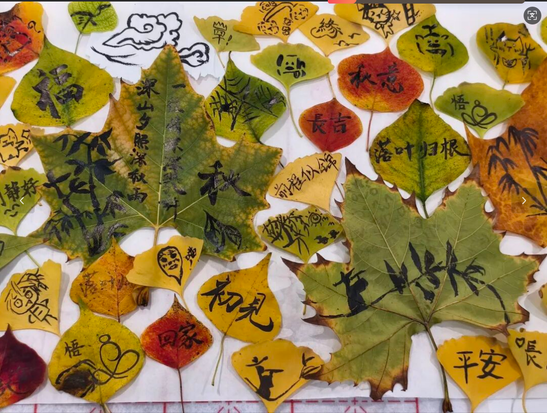 屏幕截图 2025-12-01 224517.png 屏幕截图 2025-12-01 224517.png