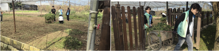 图片4.png 图片4.png