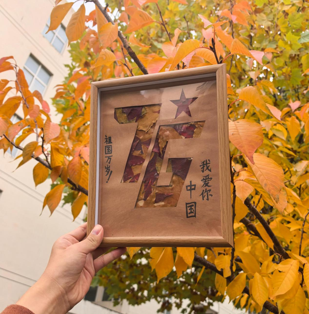 手工作品展示.png 手工作品展示.png