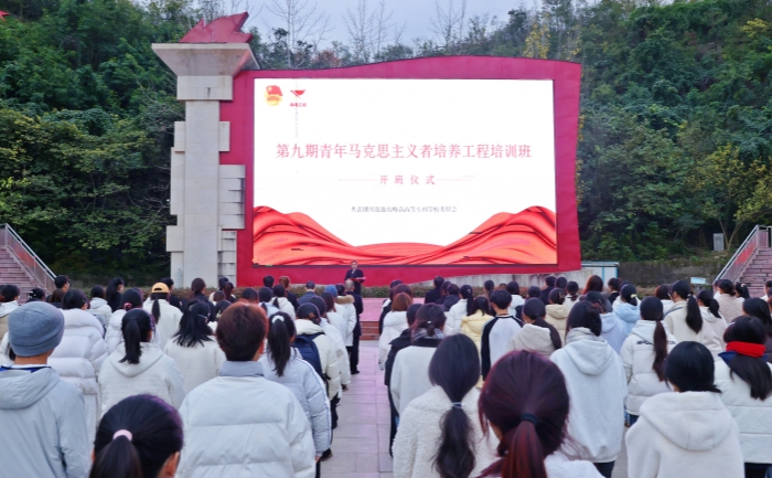 1764670907244072255.jpg 3_副本.jpg