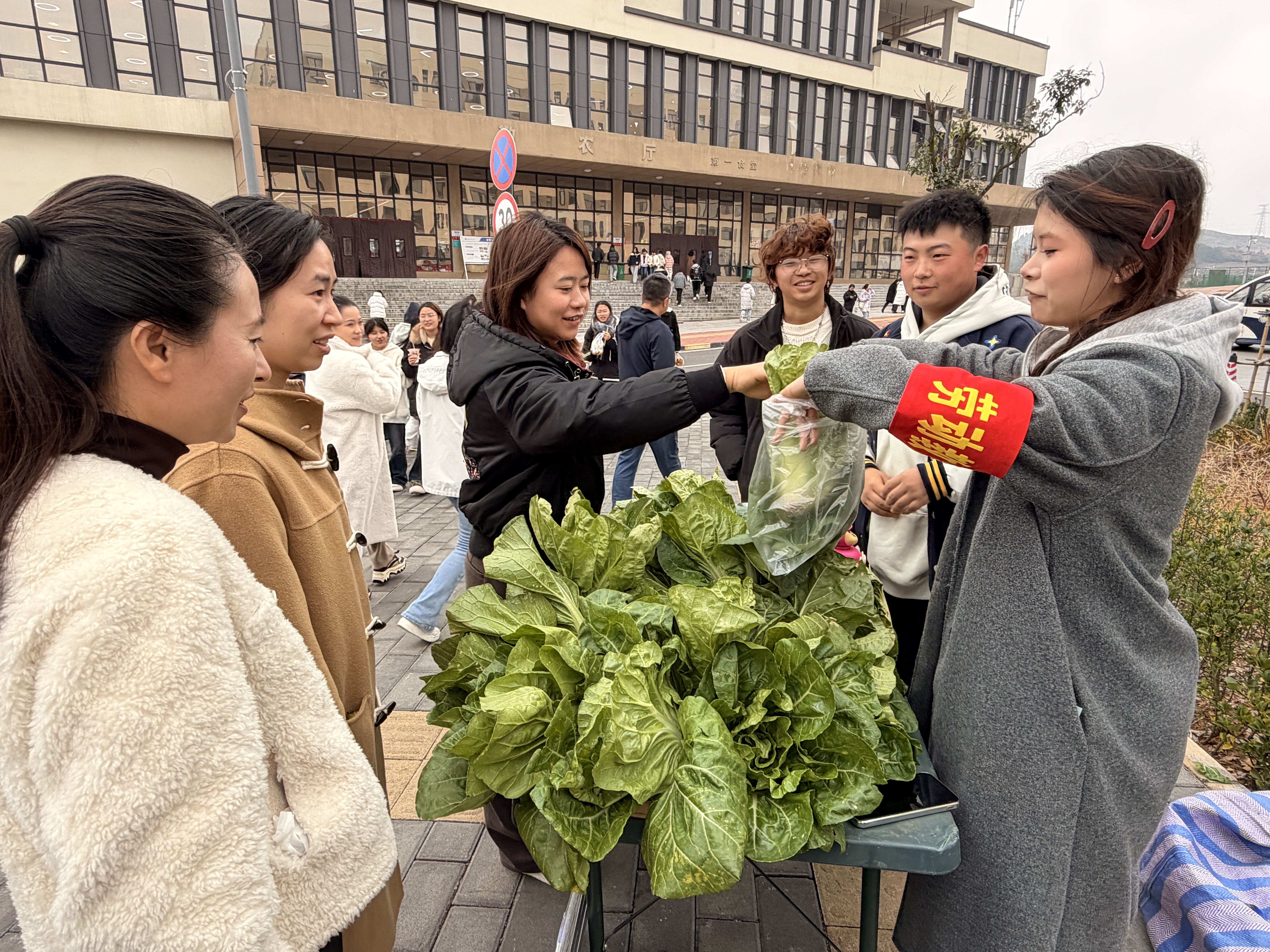 微信图片_20251209180509.jpg 微信图片_20251209180509.jpg