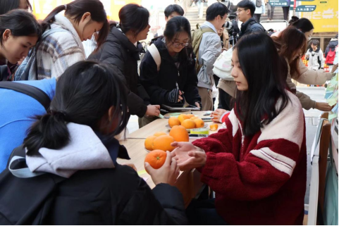 6cda6a2f1e9cf545f86c3b156693ca4.png 6cda6a2f1e9cf545f86c3b156693ca4.png