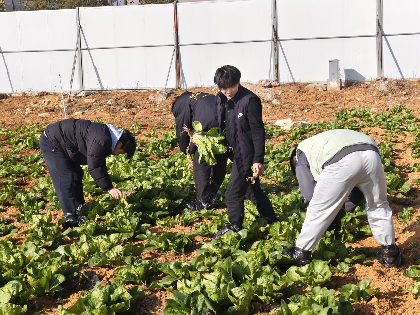 微信图片_20251209180526.jpg 微信图片_20251209180526.jpg