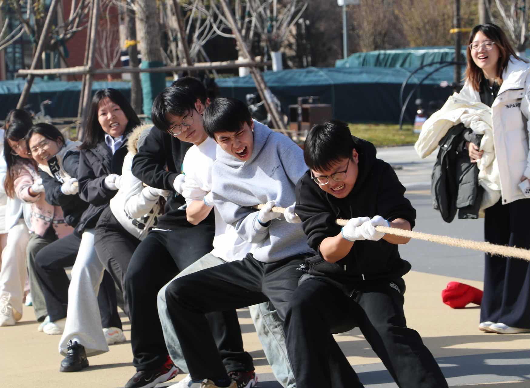 图片1.png 图片1.png