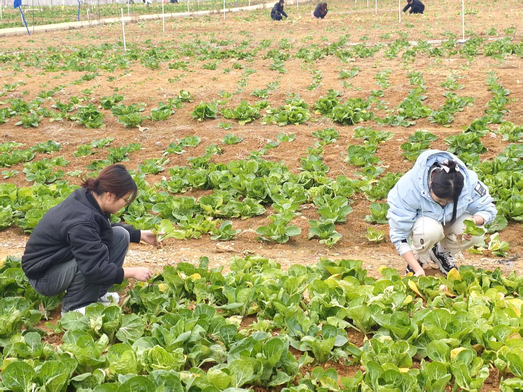 微信图片_20251209180529.jpg 微信图片_20251209180529.jpg