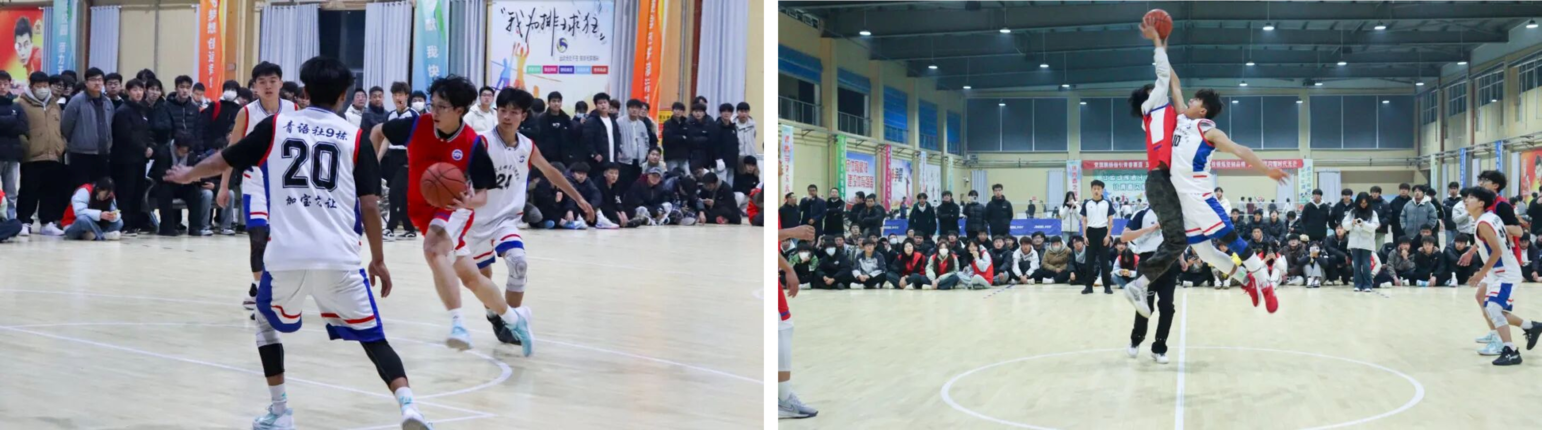 图片1.png 图片1.png