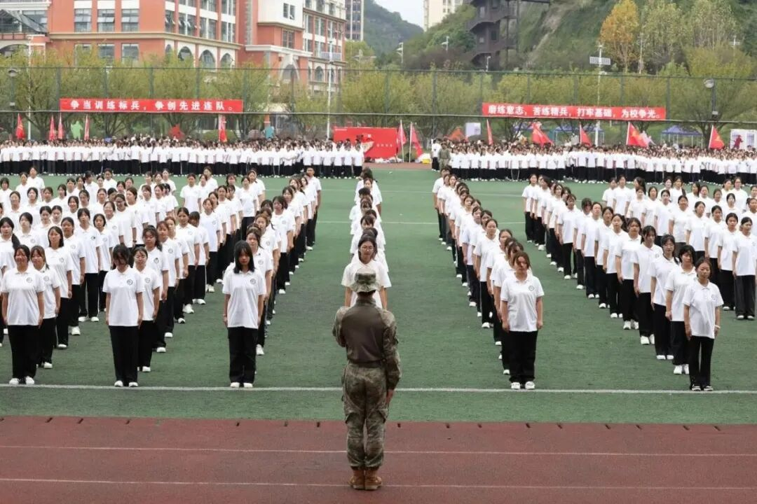 图片40.png 图片40.png