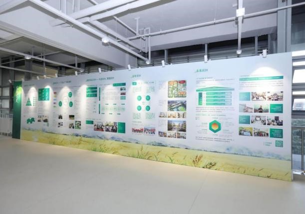 1765247130275033675.jpg 1765247130275033675.jpg