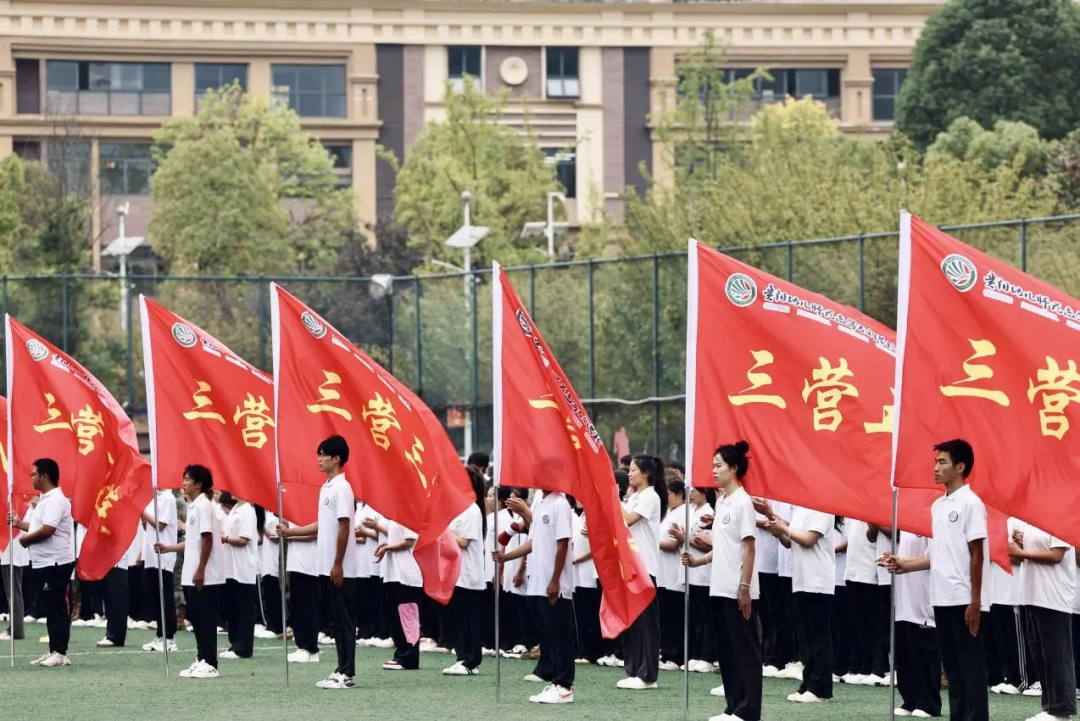 图片41.png 图片41.png