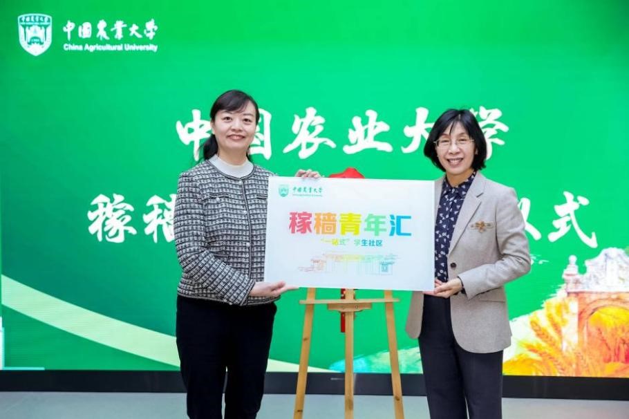 1765247172992048344.jpg 1765247172992048344.jpg