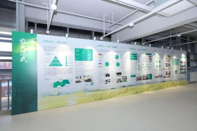 1765247130271008819.jpg 1765247130271008819.jpg