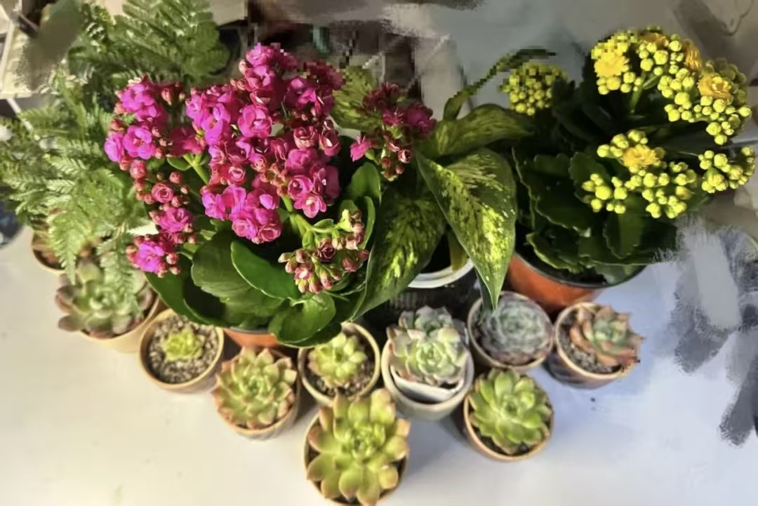 eec42552ae8d7a33aabec1a4e66489a8.jpg eec42552ae8d7a33aabec1a4e66489a8.jpg