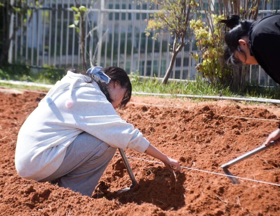 微信图片_2025-12-19_092140_022.jpg 微信图片_2025-12-19_092140_022.jpg