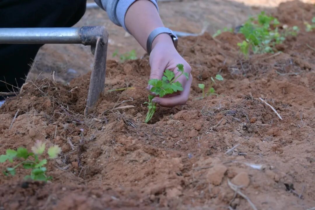 微信图片_2025-12-19_092129_550.jpg 微信图片_2025-12-19_092129_550.jpg