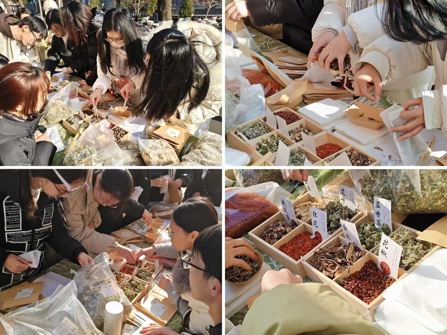 微信图片_20251230110039_154_235.jpg 微信图片_20251230110039_154_235.jpg