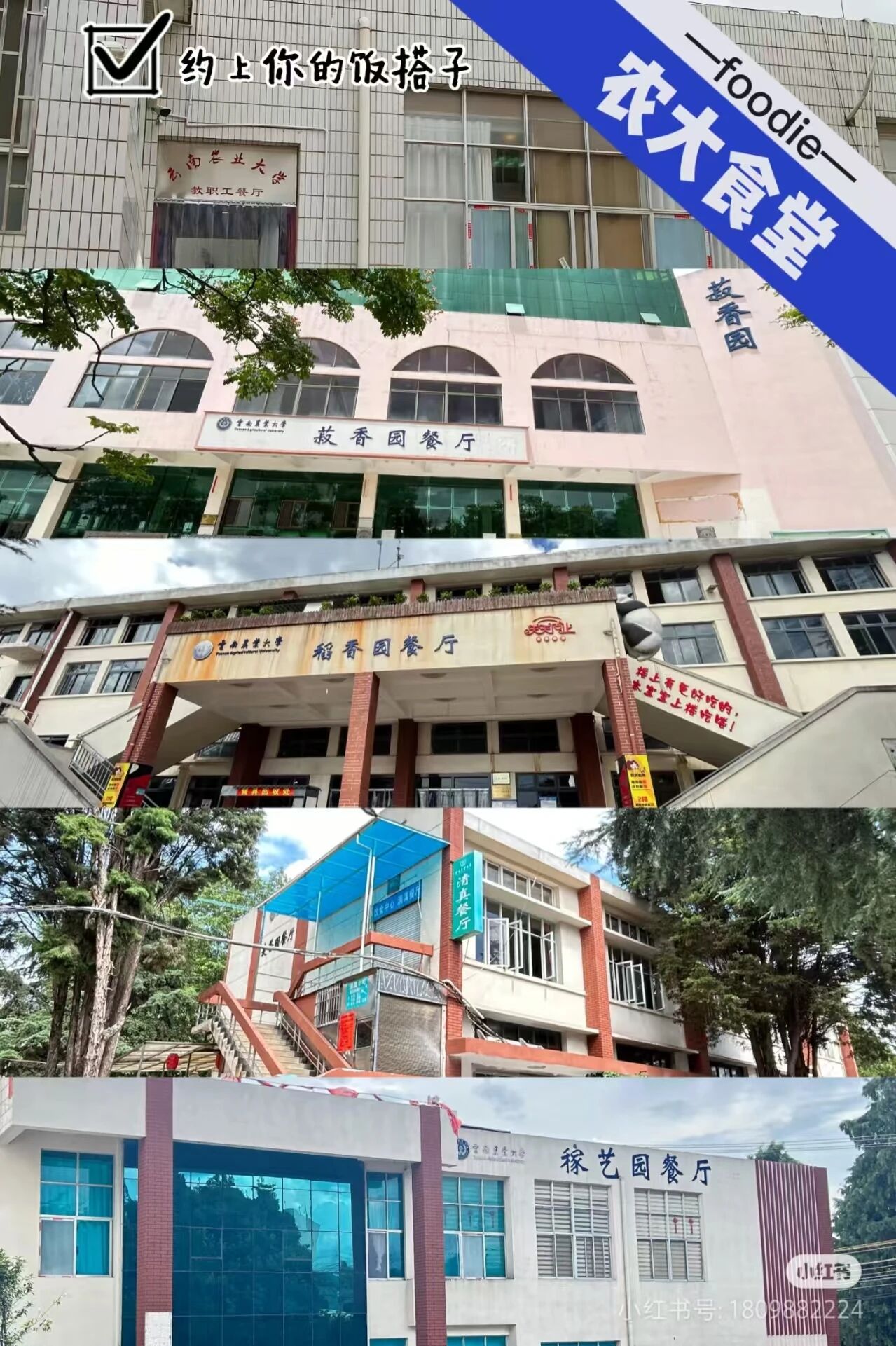 图一.jpg 图一.jpg