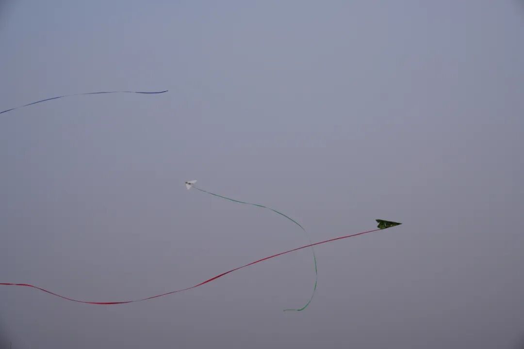 mmexport1767574169694.jpg mmexport1767574169694.jpg