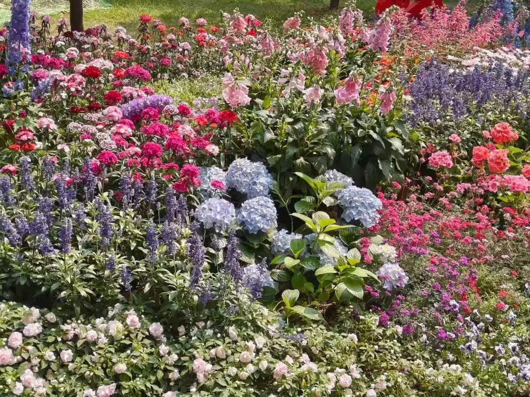 微信图片_2026-01-13_210753_995.jpg 微信图片_2026-01-13_210753_995.jpg