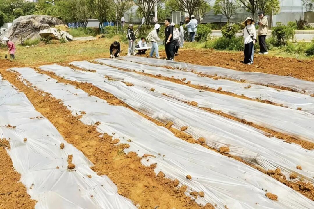 640 (13).jpg 640 (13).jpg